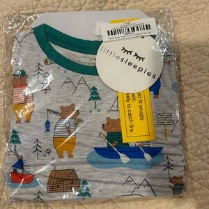 Little Sleepies Bear Adventure Pajama Set - Gray and Green